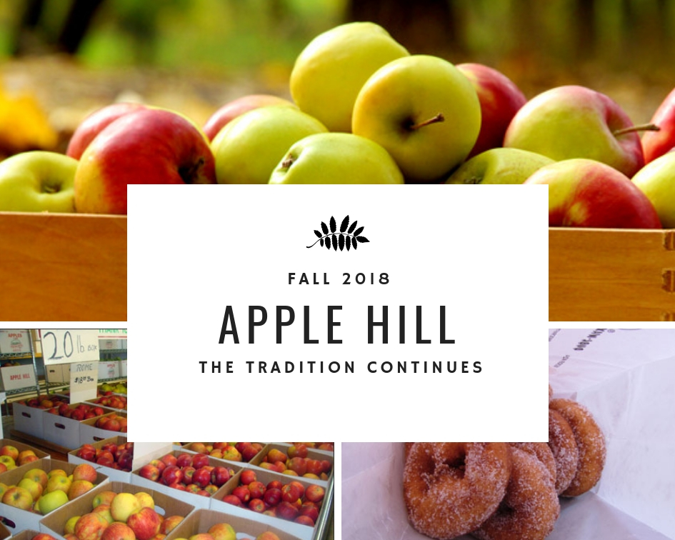 Apple Hill Road Trip Sipped in California